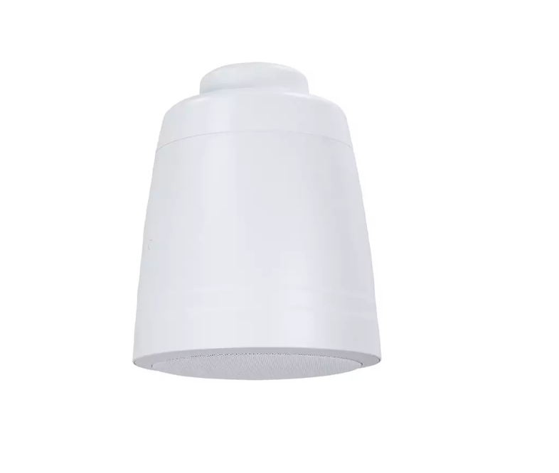 6IN 50W Coaxial Speaker, Pendant