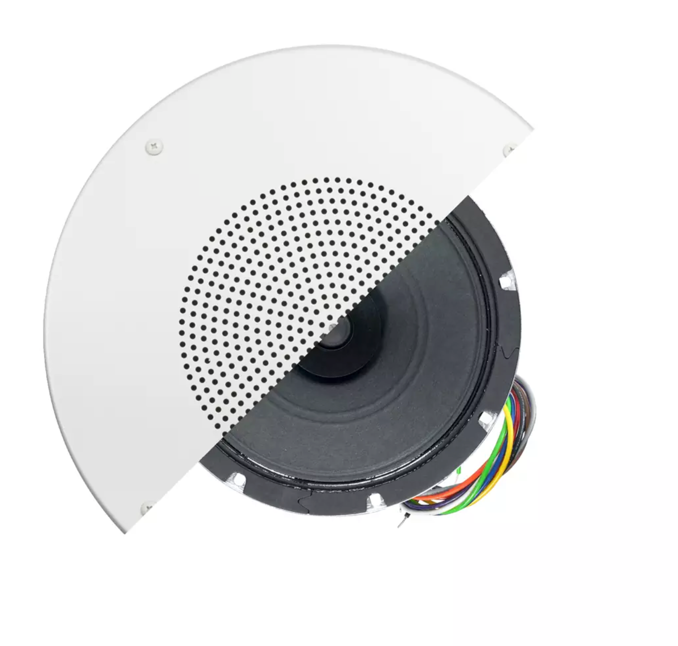 8IN 15W Dual Cone Speaker