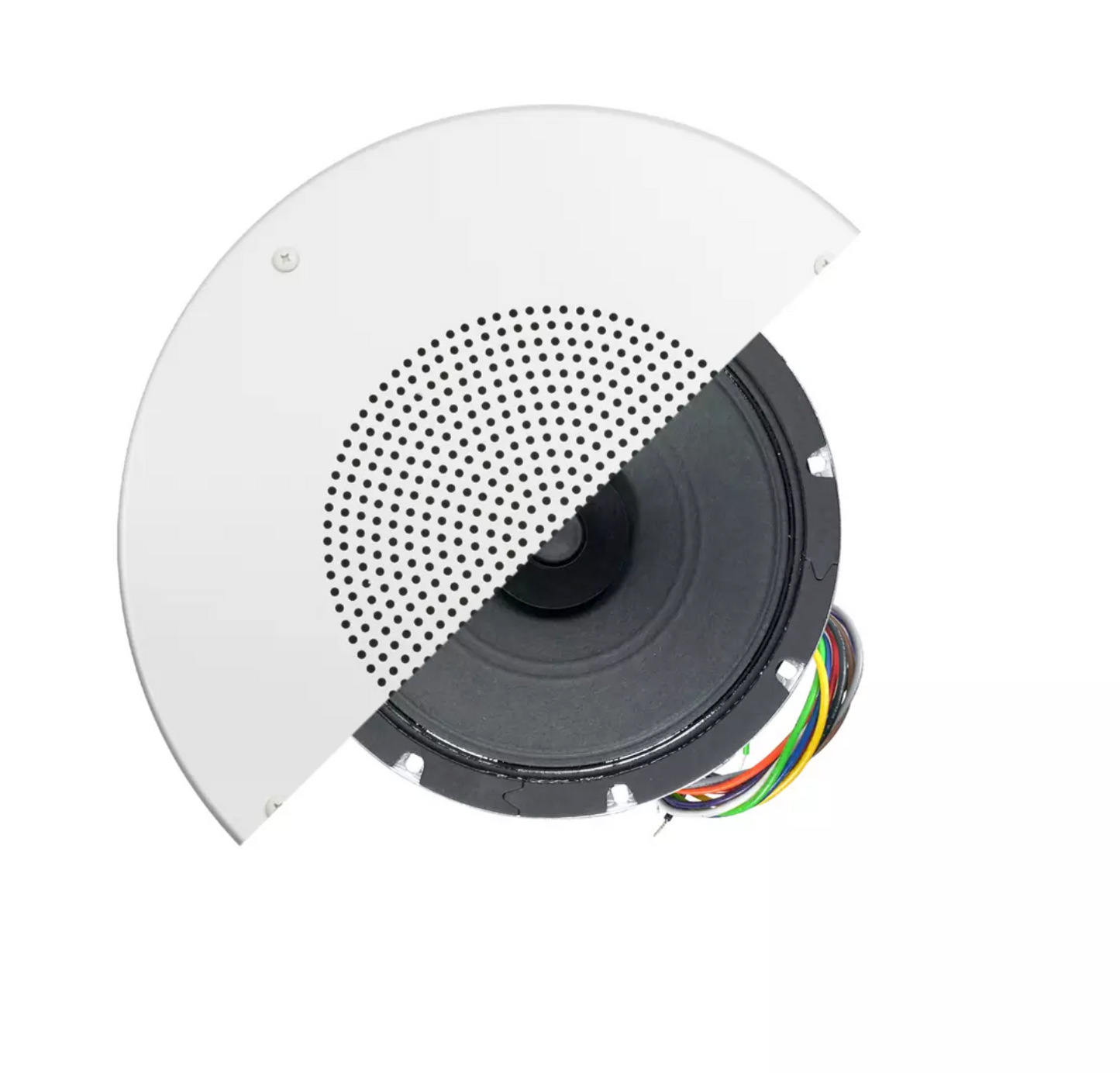 8IN 15W Dual Cone Speaker