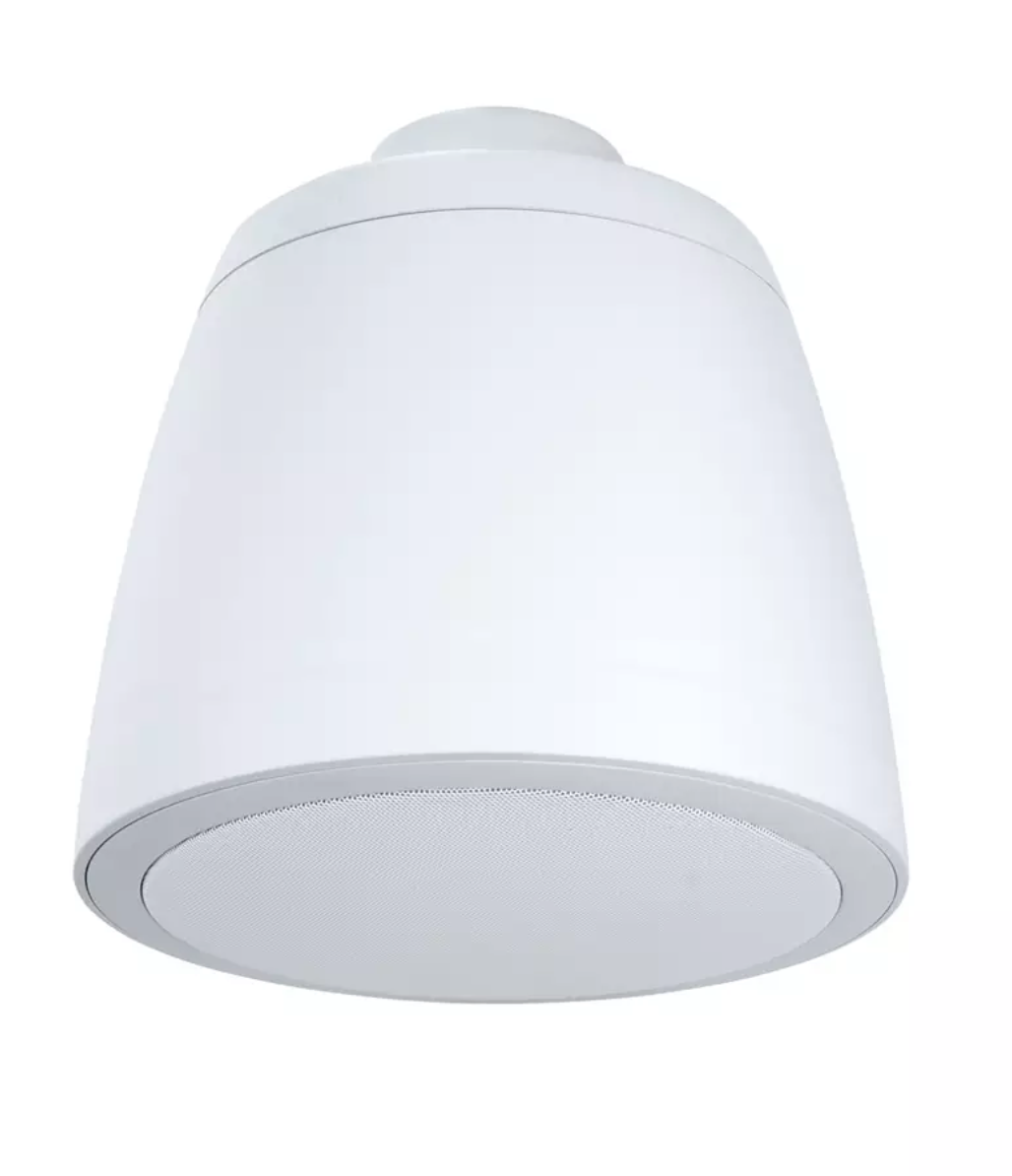 8IN 150W Coaxial Compression Speaker, Pendant