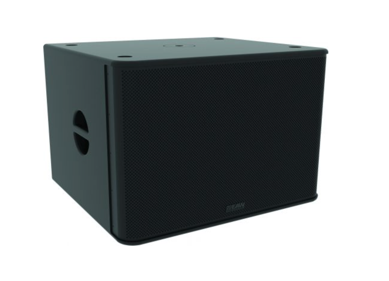 EAW RS115 115V