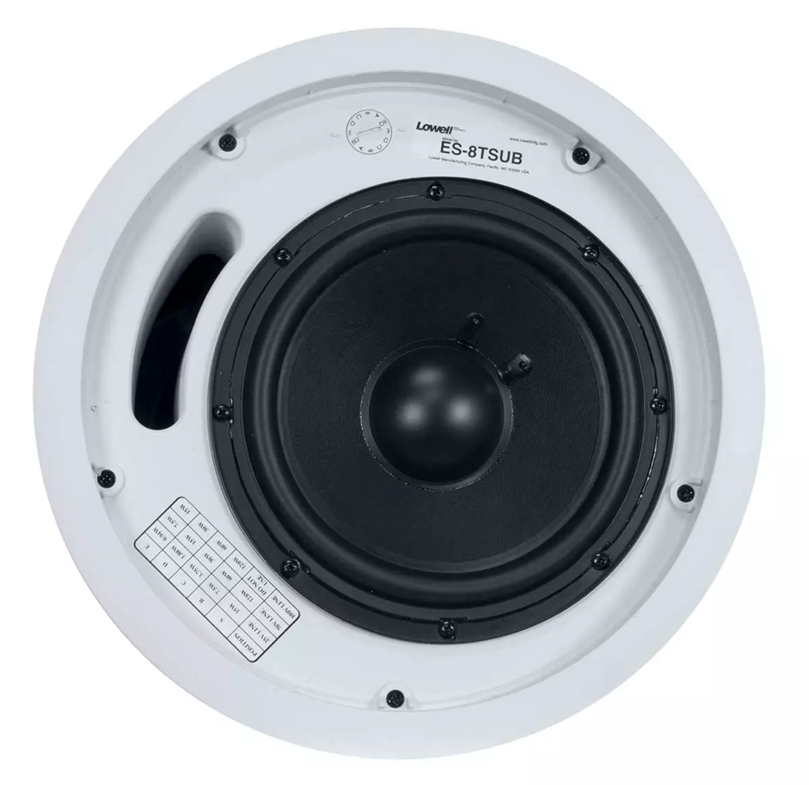 8IN 120W Subwoofer, In-ceiling